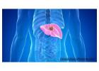 Natural Liver Detox Support – Discover Hepatoburn Supplement Benefits
