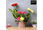Mothers Day Flowers