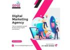 Web Designing Company in Jaipur