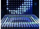 Dynamic Kinetic Installations Captivating Dubai Audiences