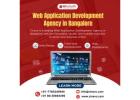 Web Application Development Agency in Bangalore