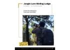 Birdwatching Tours Pangot Valley | Best Birdwatching Near Me
