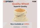 Wheat Available at Zarea Limited