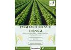 Farm Land for Sale Chennai - River Properties