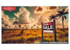 Prime Agricultural Land for Sale in Florida with for Profitable Investments