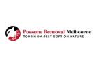 Possum Removal Melbourne 
