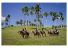 Excursiones Online Punta Cana | Transferbautista.com