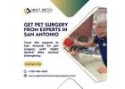 Pet Surgery in San Antonio at Night Watch Elite Animal Emergency