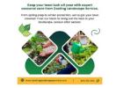 Keep your lawn lush all year with expert seasonal care