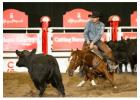 Calgary Stampede Schedule Plan Your Visit with Visit Stampede