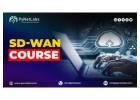SD-WAN Training: Essentials for Network Professionals