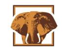 Top Notched Burma Teak Supplier – Burmese Gold Teak