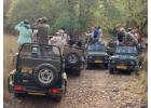 Luxury Safari Ranthambore