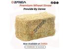 Wheat Straw Available at Zarea |
