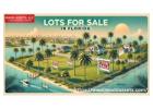Discover Affordable and Prime Vacant Lots for Sale in Florida 