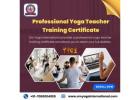 Professional Yoga Teacher Training Certificate