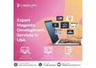 Expert Magento Development Services in USA