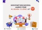 Kickstart B2B Success: Launch Your Alibaba Clone at 50% Off!