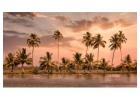 Discover the Magic of Kerala – A Tropical Getaway Awaits!