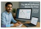 Try MLM Software and Website Demo for Free - Live LETSCMS Experience!