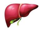 Expert Fatty Liver Disease & Cirrhosis Specialist in Gujarat – Dr. Jigar Patel