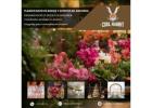 Fotógrafo profesional para eventos en Andorra