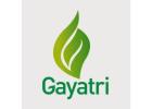 Gayatri Psyllium Industries - Psyllium Husk powder manufacturers in India