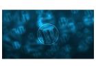 Invoidea is the Best WordPress Website Development Company in India