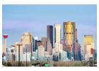 Fast And Safe Pest Help In Calgary