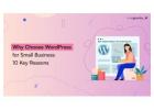 Why Choose WordPress for Small Business: 10 Key Reasons