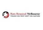 Rat Control Melbourne