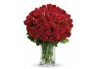 Top Washington DC Florist – My Florist and Flower Delivery