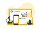 Hire Top Xamarin Developer