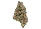 28g Krazy Runtz Smalls (AAA) – Balanced Hybrid with a Sweet Kick