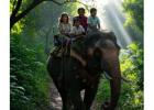 Best Elephant Safari in Jaipur Experience