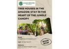 Tree Houses in the Amazon: Stay in the Heart of the Jungle Canopy