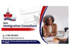 Best Immigration Consultant in Brampton