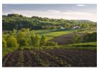 Investment Opportunity Agriculture Land For Sale Vadodara