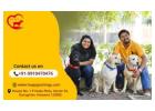 Delhi’s Best Dog Care Services – Happy Pettings