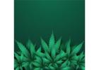 Buy Coco Slabs USA