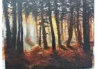 Relaxing and Creative Paint Classes for Adults at Art Adventures