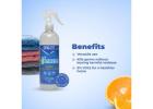 Best Glass Cleaner for Windows, Mirrors & More | Environ