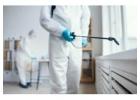 Trusted Home Pest Control Services Delta for a Safe, Pest-Free Living Space