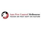 Ant Control Services Melbourne