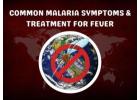 Common Malaria Symptoms & Treatment for Fever