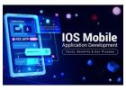 Top Mobile App Development Company - Custom Solutions for Your Business