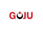Goju Hyaluronic Acid Facial Serum – Deep Hydration & Skin Plumping | GojuNaturals.com