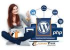 WordPress Website Development – Converthink Solutions