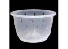 Clear Orchid Pots – Root Health Made Visible