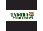 Book Your Tadoba Jeep Safari Online!